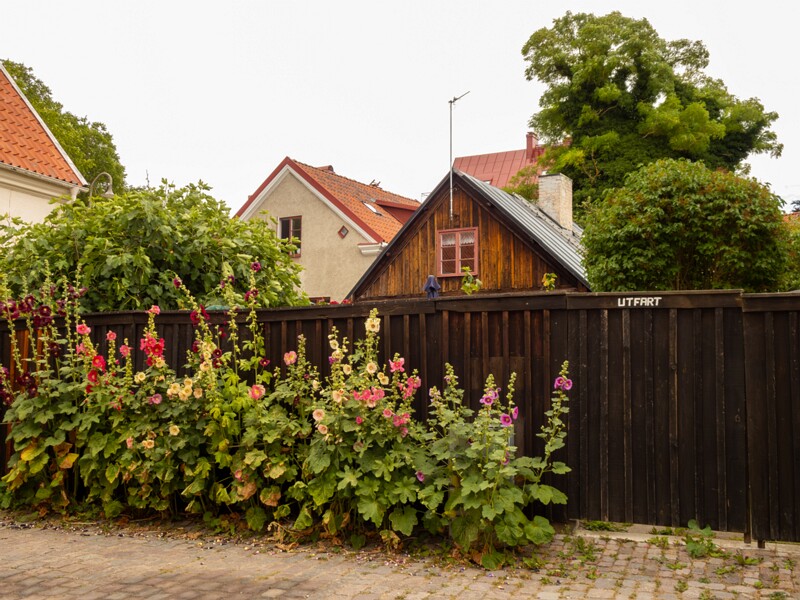 Fiskargränd  2022-07-25 1-11