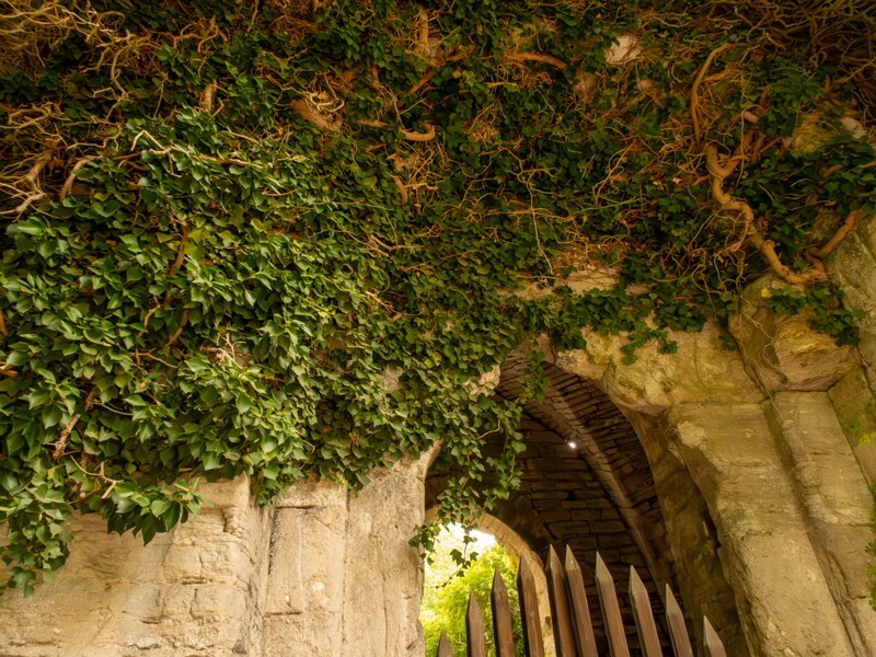 Saint Olof's church ruin  2022-07-25 1-2