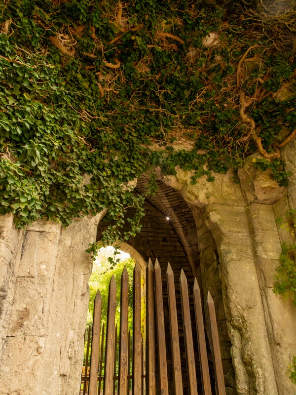 Saint Olof's church ruin  2022-07-25 1-3