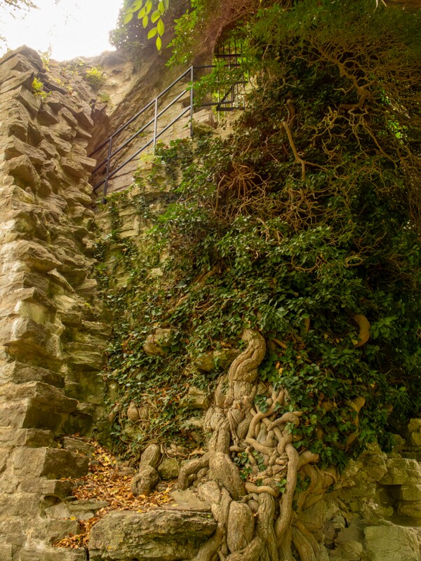 Saint Olof's church ruin  2022-07-25 1-5