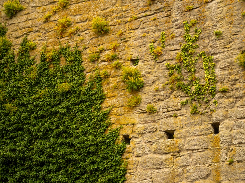 St Clemens Church Ruin  2022-07-25 1-2