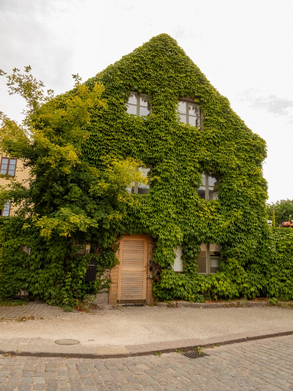 Tranhusgatan  2022-07-25 1-1